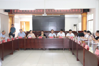 孝南区人大常委会视察全区公共文化服务保障情况调研报告 检验成效与优化路径